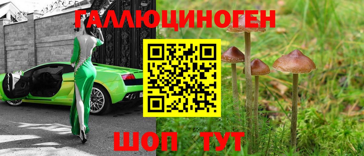 Псилоцибиновые грибы мухоморы Бахчисарай