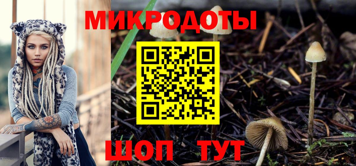Бахчисарай  Псилоцибиновые грибы Psilocybine cubensis  купить наркотик  Вход с VPN 